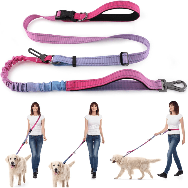 Laisse pour Chien Ultra-Durable Mains Libres avec Élastique Absorbant les Chocs - Design à Double Poignée pour Grandes Races (Rose-Violet)