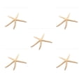 thumbnail image 1 of Ounissouiy Natural 5-12cm/10-12cm White Finger Starfish Lightweight Conch Ornament Starfish Wedding Decor Shells Waterproof Type1 NO1, 1 of 6