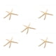 thumbnail image 2 of Injueey Natural 5-12 cm/10-12 cm dedo blanco estrella de mar mar elegante hogar pelo boda decoración y proyecto artesanal Type1 NO1, 2 of 6