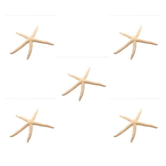 Bearachild Natural 5-12 cm/10-12 cm dedo blanco estrella de mar mar elegante hogar pelo boda decoración y proyecto artesanal Type1 NO1