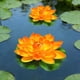 thumbnail image 1 of Floating Foam Lotus Flowers with Leaves, Artificial Water Lilies for Pond Pool Decor, Realistic Fake Lotus Flowers for Garden Water Feature, Outdoor Pond Decorations, Water Garden Accents, 1 of 6