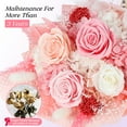 thumbnail image 6 of Preserved Flower Bouquet – Pink Roses & Flowers for Delivery, Real Long-Lasting Roses, Eternal Rose Set for Mother, Mom, Wife, Anniversary & Birthday Gifts for Women, 6 of 8