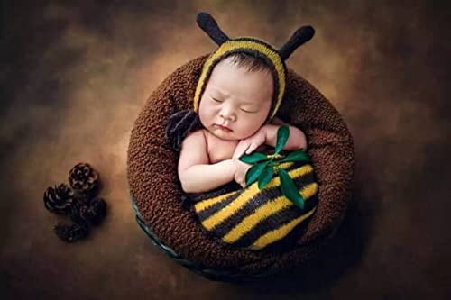 Newborn Monthly Baby Photo Props Bee 