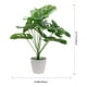 thumbnail image 4 of Maceta de planta verde artificial para decoración del hogar, 4 of 5