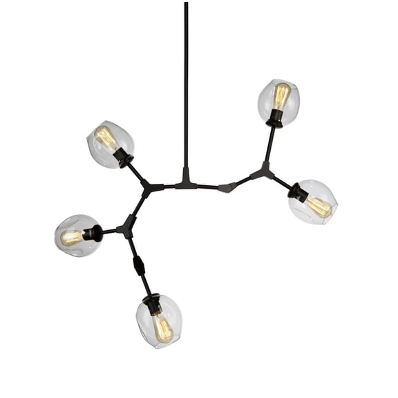 JA14025BK Artcraft Lighting Organic - 5 Light Chandelier-Black Finish