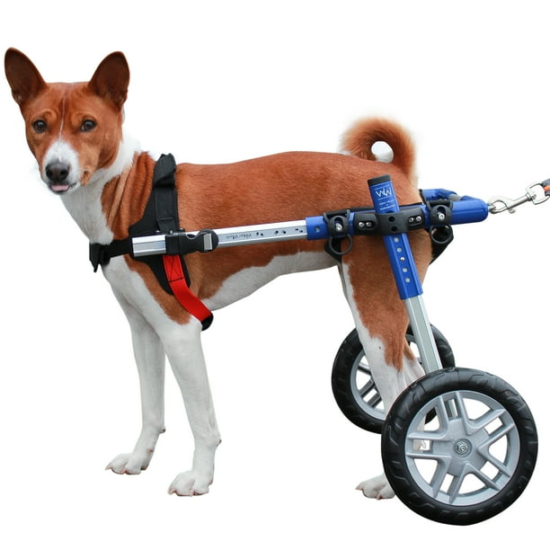 Walkin' Wheels Dog Wheelchair for Small Dogs 1125 Pounds