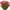Rose Red, variant on Zukuco 4 Bundles Outdoor Artificial Tulips Fake Flowers UV Resistant Faux Plastic Greenery Shrubs Plants for Home Outside Garden Porch Window Farmhouse Decor, Orange