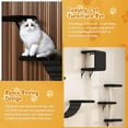 thumbnail image 5 of Cat Wall Shelves, Wall-Mounted Cat Climber Set of 5, Floating Cat Perches, Hanging Cat Beds, Modern Cat Furniture for Large Cats or Kitty (Black), 5 of 11