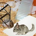 thumbnail image 3 of Almohadilla refrescante para conejos, placa de aluminio refrescante para mascotas de verano, resistente a mordeduras, para mascotas pequeñas, 3 of 8