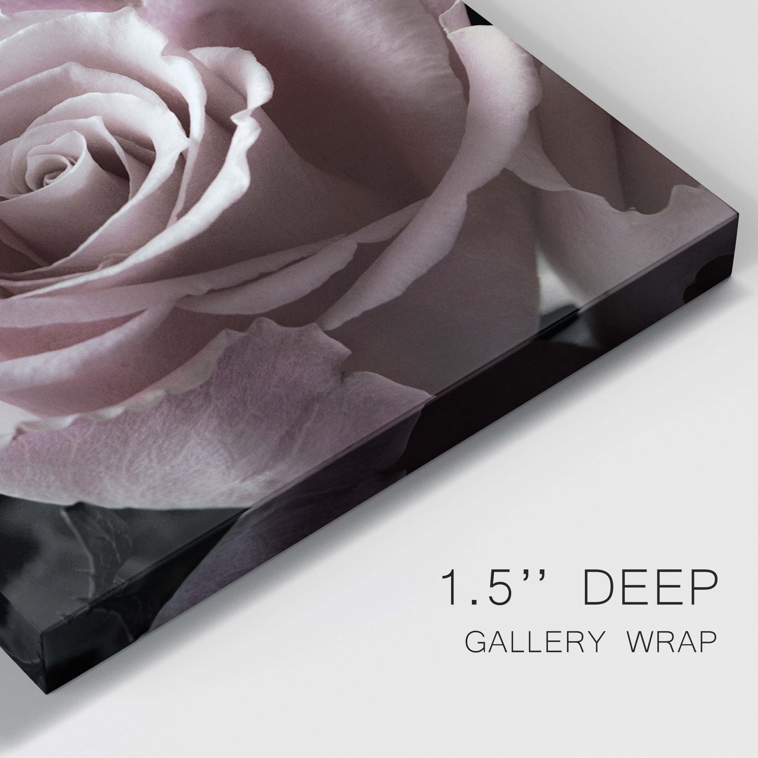 Rose Noir II Premium Gallery Wrapped Canvas - Ready to Hang - 18 x 27