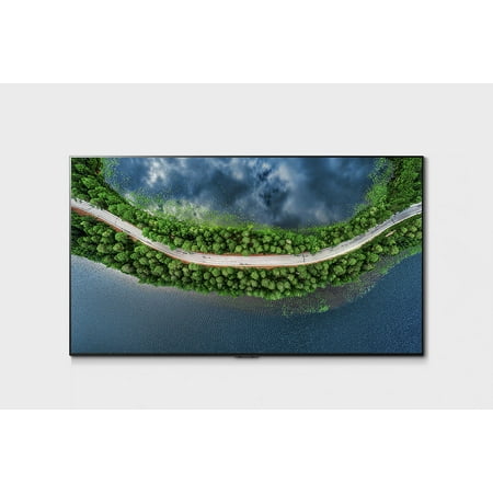 LG GX 65inch Class with Gallery Design 4K Smart OLED TV w/AI ThinQ® (64.5 Diag) - OLED65GXPUA