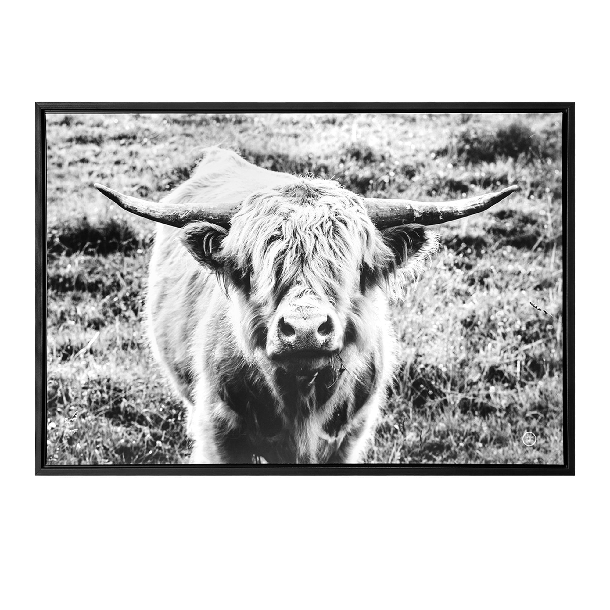 Crystal Art Gallery Highland Cow Framed Digital Print Size 36"x24" by Wild Apple