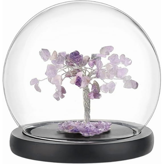 Glass Display Dome Cloche 5.3 Inch Glass Bell Jar Dome Cover Decorative Jars Display Case with Black Base for Flower Storage Home Decoration diy