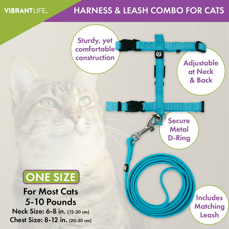 All for cat harness and leash leopard