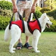 thumbnail image 2 of Portable Dog Sling Rear Legs Dog Lift Harness Back Legs Rehab Disabled Animals for Large Dogs Hind Rear Leg Support, 2 of 20