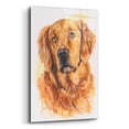 thumbnail image 2 of Epic Art 'Golden Retriever 2' by Barbara Keith, Acrylic Glass Wall Art, 12"x16", 2 of 8