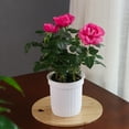 thumbnail image 6 of FUEENIRVA 5Sets Breathable White Plastic Flower Pot Self Watering Planter, 6 of 6