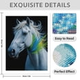 thumbnail image 3 of Diamond Art Kits for Adults - 5d Elegant White Horse Portrait Art Diamond Painting for Adults, Diamond Art for Adults Beginners, Diamond Painting Kits for Adults for Home Wall Decor, 3 of 7