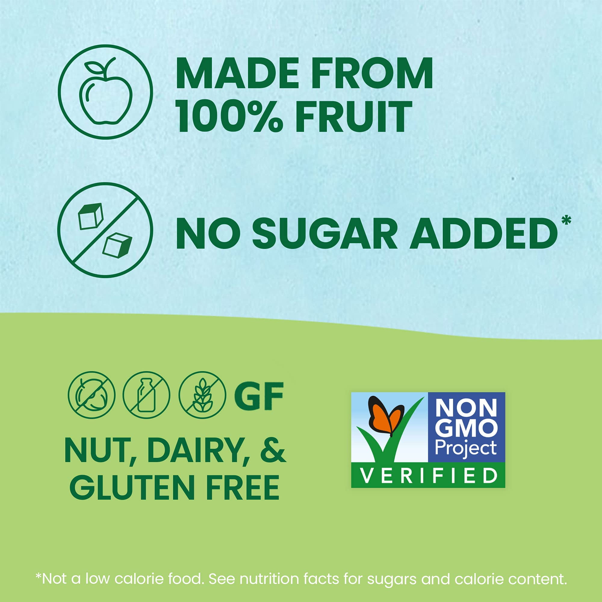 GoGo squeeZ Fruit on the Go, Apple Apple,Snacks for Kids - Nut & Dairy Free (Pack of 10)