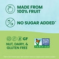 thumbnail image 3 of GoGo squeeZ Fruit on the Go, Apple Apple,Snacks for Kids - Nut & Dairy Free (Pack of 2), 3 of 5