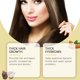 thumbnail image 4 of Clearance Sale! Hair Growth Oil Castor Oil Hair Thickening Oil Nourishes The Skin Eyelashes Eyebrows Nail Growth Multieffect One100ml (Buy 2 get 1 free), 4 of 9