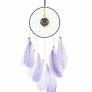 Europe Black White PatternRococo Style Dream Catcher Wall Hanging Feather Decor