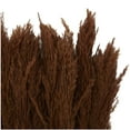 thumbnail image 4 of 35" Dried Plant Natural Foliage Pampas Bouquet with Long Stems, by DecMode, 4 of 8