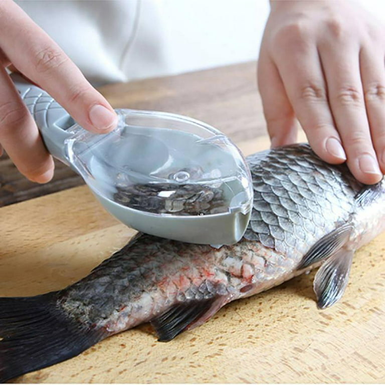 Plastic Fish Scales Graters Scraper Fish Cleaning Tool Scraping Scales  Device with Cover Home Kitchen Cooking Tools