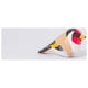 thumbnail image 4 of Adornos de madera Fiudx Decoraciones navideñas para interiores, 4 of 4