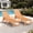 Teak, variant on AwayHome HIPS Outdoor Chaise Lounge with Rolling and Adjustable Backrest, White