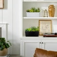 thumbnail image 5 of Artificial Mixed Succulents Plants in White Ceramic Planter Assorted Fake Succulents Plant Arrangements in Pots Faux Succulent Plants Potted Home Decor, 5 of 6