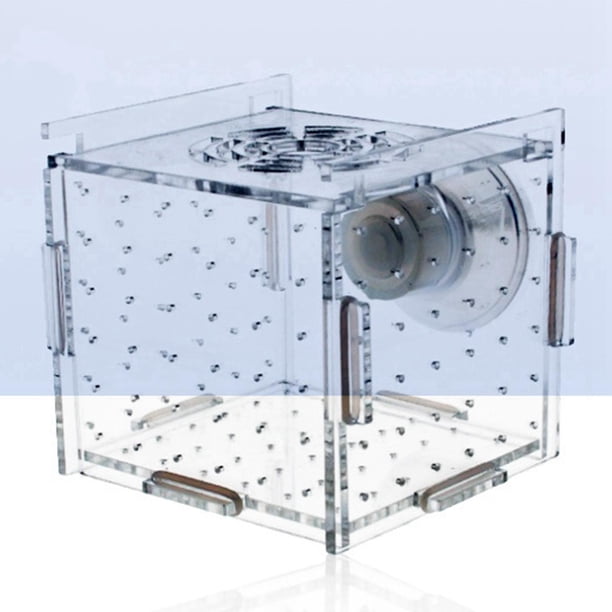 Caja de cría de peces para acuario, accesorios para acuario, caja de cría con aislamiento de peces transparente para Guppies, camarones pequeños para 6cmx6cmx6cm