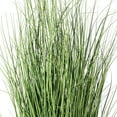 thumbnail image 2 of Vickerman 36" Artificial Potted Green Curled Grass., 2 of 7