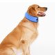 thumbnail image 4 of unbranded Collar De Enfriamiento Para Mascotas Azul Con Ajuste Y Tejido Transpirable Para Deportes, 4 of 8