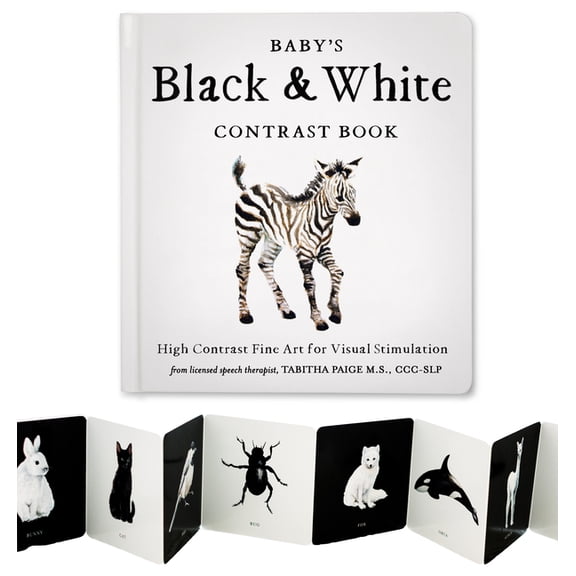 Our Little Adventures Baby's Black and White Contrast Book: High-Contrast Art for Visual Stimulation at Tummy Time, (Board Book)