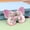 Suspension box packaging (1-2 days delivery), variant on Garden Girl Bow Nail Art 10 Pieces Children's Diamond Blush Nail 10-16 Years Old Children Handmade Nail Wear