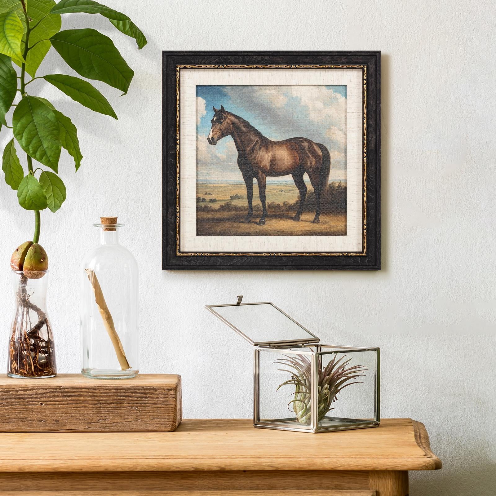 My Texas House Handsome Horse Premium Canvas Art Print with Frame