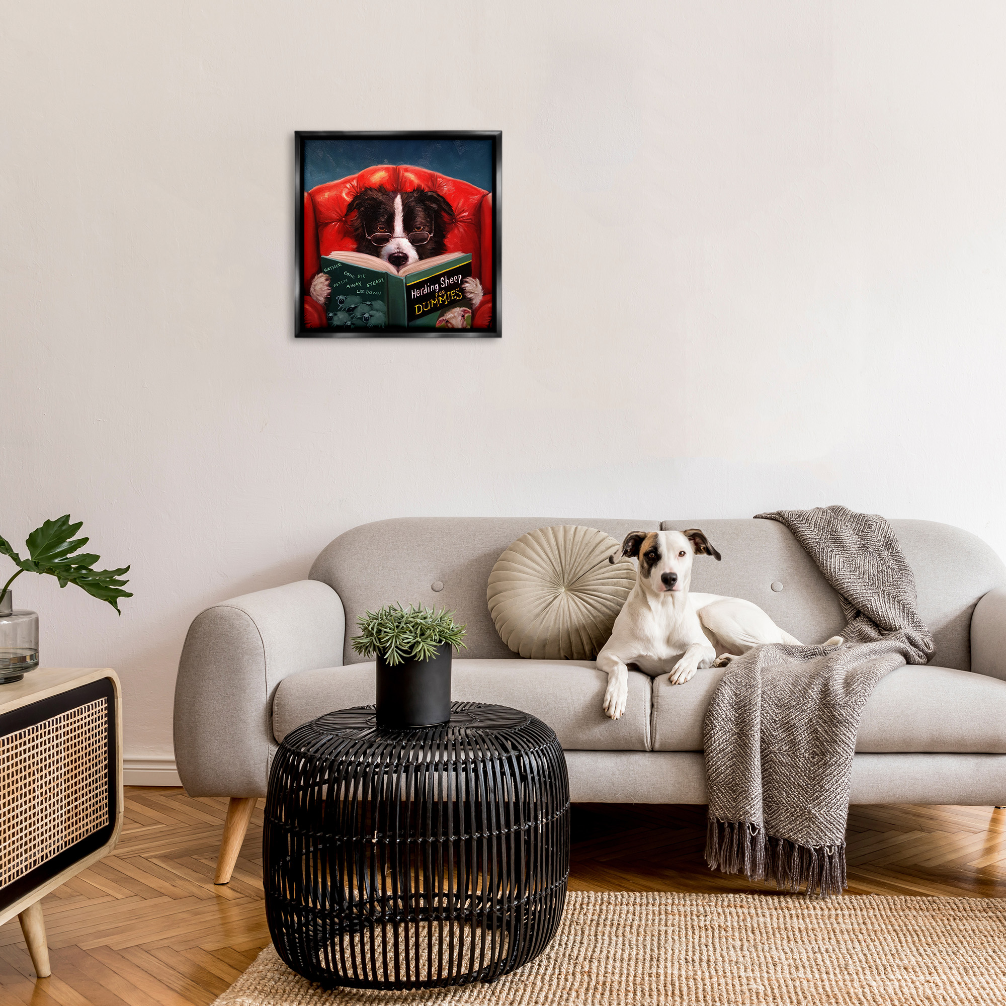 Stupell Industries Sheep Dog Reading for Dummies Animals & Insects Floater Wall Art Design By Lucia Heffernan