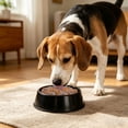 thumbnail image 4 of Outdor Large Silicone Slow Feeder Bowl For Cats Gulping Prevention Interactive Feeding Mat Dishwasher, 4 of 6