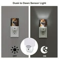 thumbnail image 3 of Rocae Regal Shiba Inu for 0.5W Plug in Night Light, Dusk to Dawn, Bright Nightlight Auto-On/Off-UK, 3 of 7
