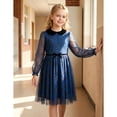 thumbnail image 3 of Sunny Fashion Girls' Long Sheer Sleeve Peter Pan Collar Plaid Mesh Blue Dress (Big Girls), 3 of 8