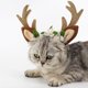 thumbnail image 1 of Tocado navideño para mascotas (2024), sombrero para perro y gato, con cuerno de ciervo, adornos festivos, cuernos de terciopelo anticaída, tocados con estilo., 1 of 8