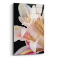 thumbnail image 2 of Epic Art 'They Called Her Lily' by Pamela Plummer, Acrylic Glass Wall Art, 12"x16", 2 of 8