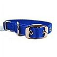 thumbnail image 3 of Hamilton 5/8" Single Thick Nylon Deluxe Dog Collar, 14 inch, Blue, 3 of 3