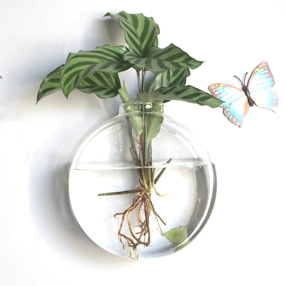 Wall Hanging Hydroponic Glass Vase Transparent Fish Tank Green