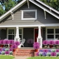 thumbnail image 5 of ZZ 20 Bundles Artificial Lavender Flowers Outdoor UV Resistant Fake Flowers No Fade Faux Plastic Plants, 5 of 8