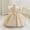 Beige, variant on SERTG Little Girls' Party Dress Sheer Paneled Skirt with Back Zipper Short Sleeve Round Neck Princesse Outfit for 6 Months-4 Years(Beige,4 Years)