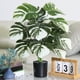 thumbnail image 1 of Planta Monstera Artificial 23,6 pulgadas | Hojas falsas de tortuga tropical, planta en maceta de seda verde para interior y exterior, oficina, fiesta o decoración de boda, bajo mantenimiento y, 1 of 7