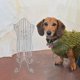 thumbnail image 4 of WEUVEB Exhibidor De Ropa Para Mascota En Metal Plateado Con Base Resistente Ideal Para Tiendas O, 4 of 8