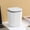 Gray, variant on Bilqis Mini Trash Can with Lid - Removable Small Garbage Can, Desktop Small Trash Can, Countertop Wastebasket, Counter Garbage Lint Bin for Bathroom, Office, Kitchen, Desk, Coffee Table